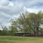 Lyndhurst Dog Park