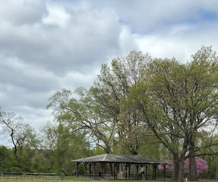 Lyndhurst Dog Park