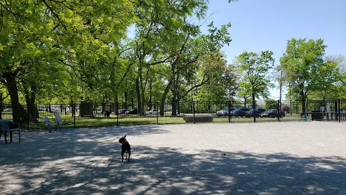Lyndhurst Dog Park Picture 8