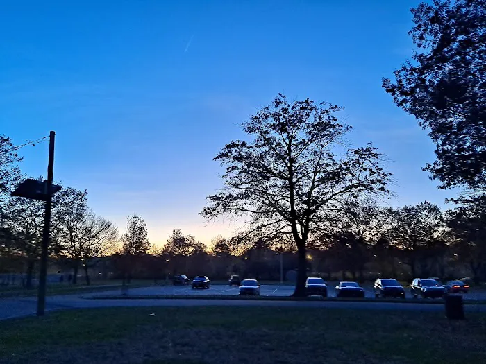 Lyndhurst Dog Park Picture 4