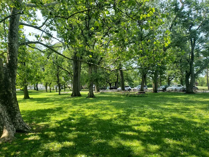Lyndhurst Dog Park Picture 9