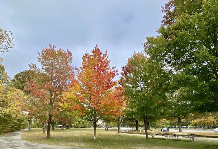 Lyndhurst Dog Park Picture 2