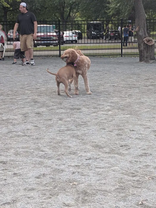 Lyndhurst Dog Park Picture 5