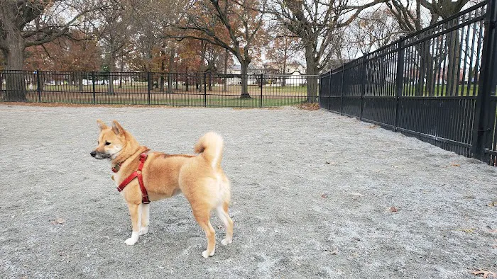Lyndhurst Dog Park Picture 6