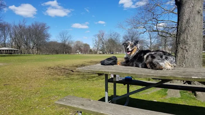 Lyndhurst Dog Park Picture 10