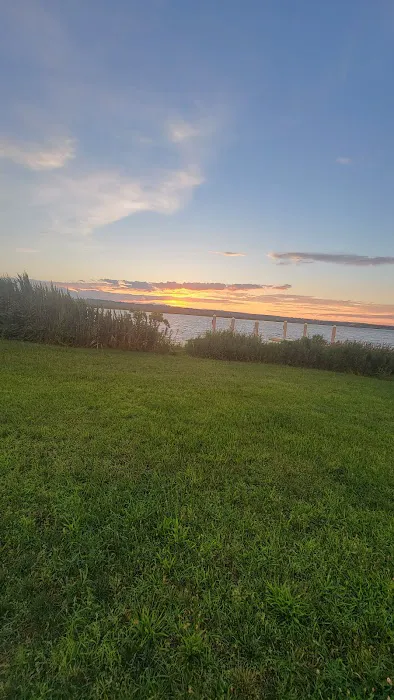 Laurel Hill Park Picture 5