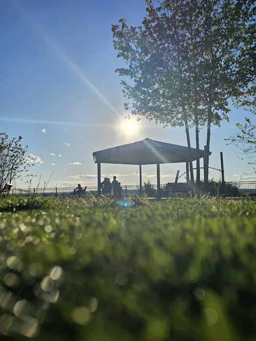 Laurel Hill Kids Park Picture 6