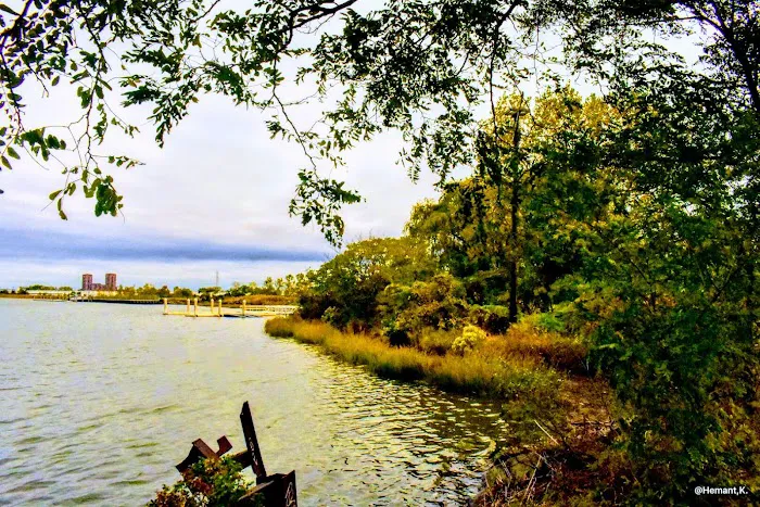 Boardwalk Promenade - Laurel Hill Park Picture 5