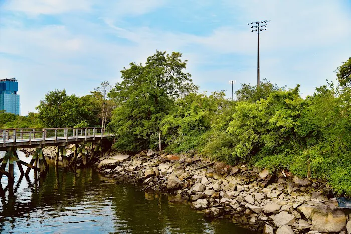Boardwalk Promenade - Laurel Hill Park Picture 2