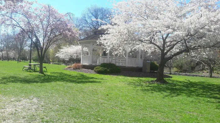 Kingsland Park Picture 6