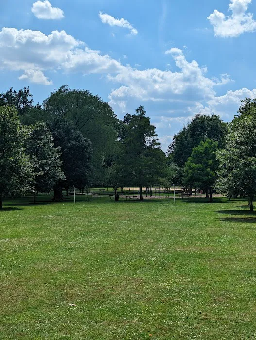 Kingsland Park Picture 7