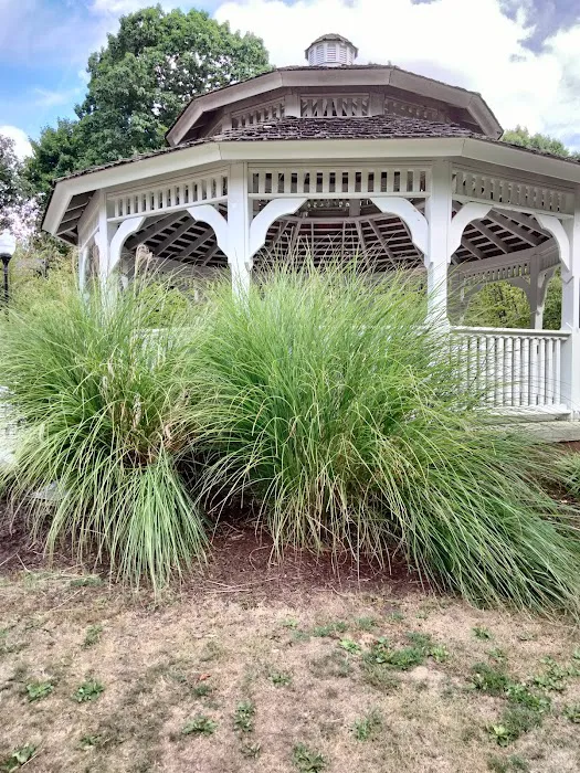 Kingsland Park Picture 4