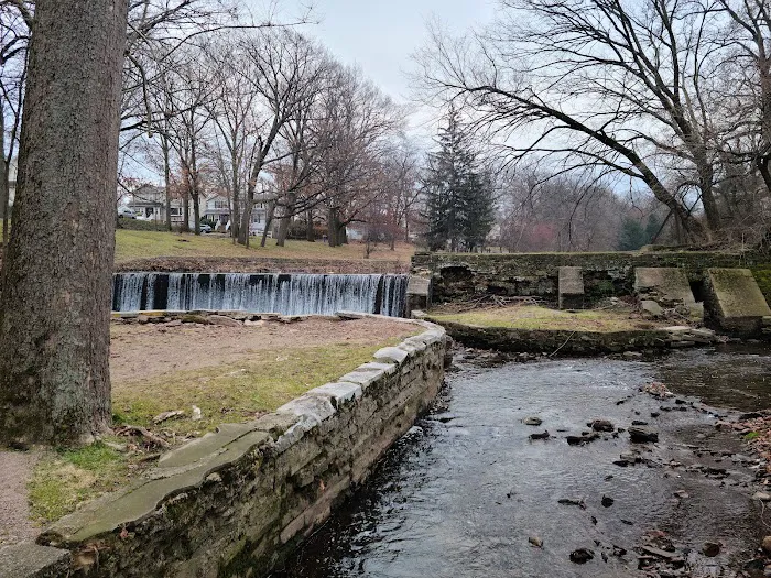 Kingsland Park Picture 8