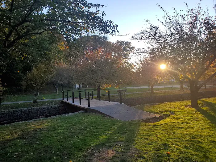 Kingsland Park Picture 10
