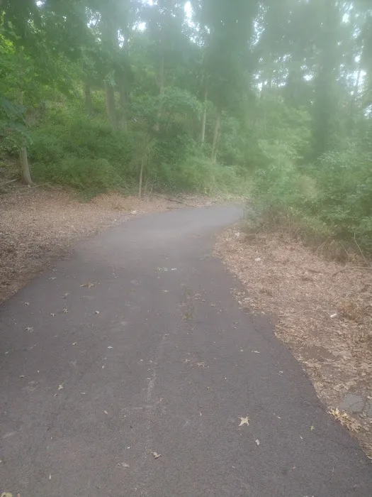 Hillside Park Picture 3