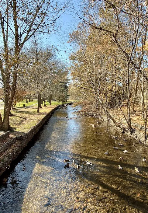 Memorial Park 3 Picture 4