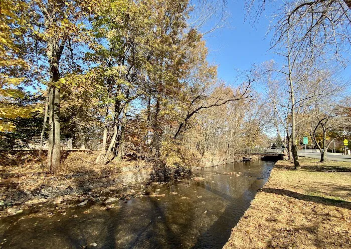 Memorial Park 3 Picture 6
