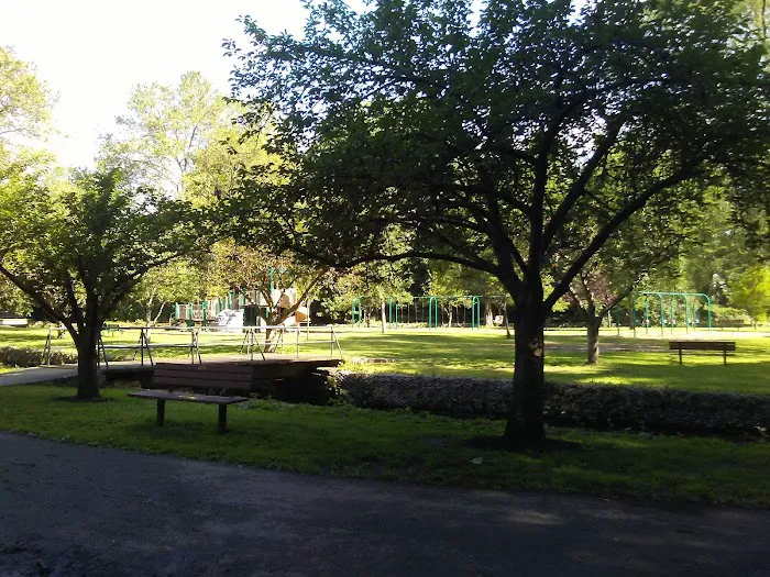 Memorial Park 3 Picture 3