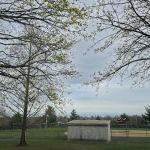 Glotzbach Memorial Park