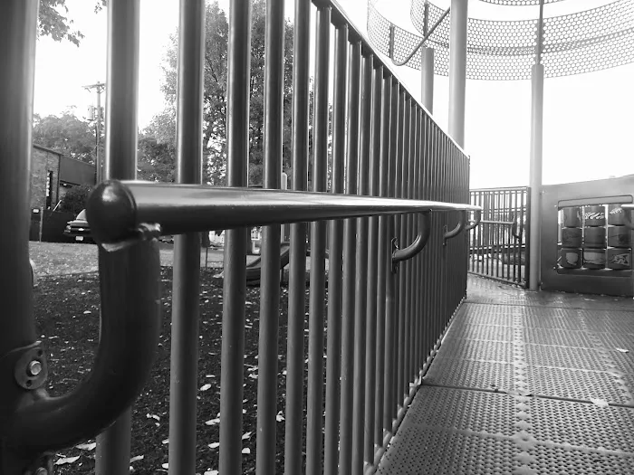Chelsea Park Picture 4