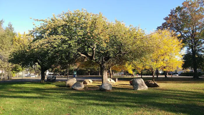 Chelsea Park Picture 10