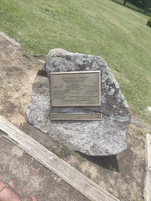 Chelsea Park Picture 3