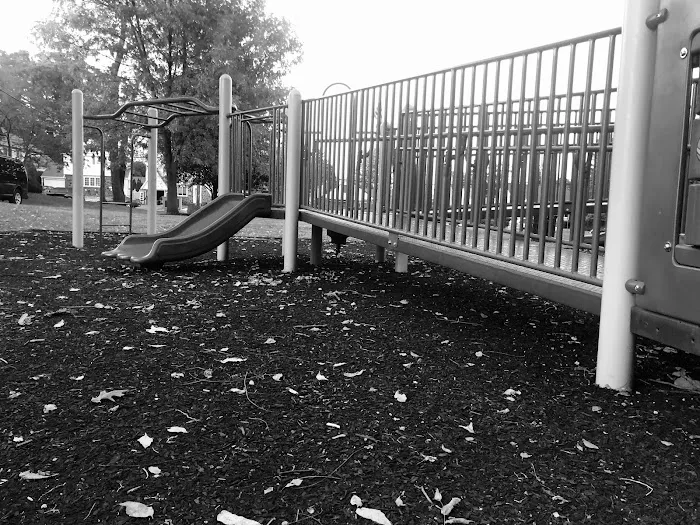 Chelsea Park Picture 6