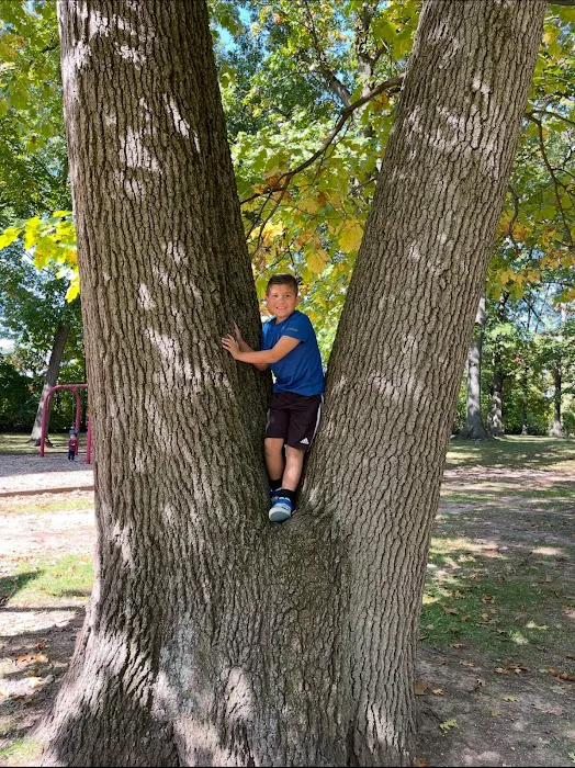 Knollcroft Park Picture 8