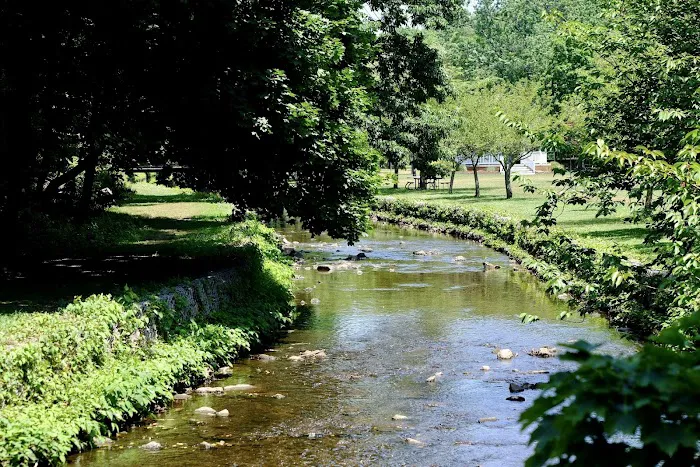 Nichols Park Picture 5
