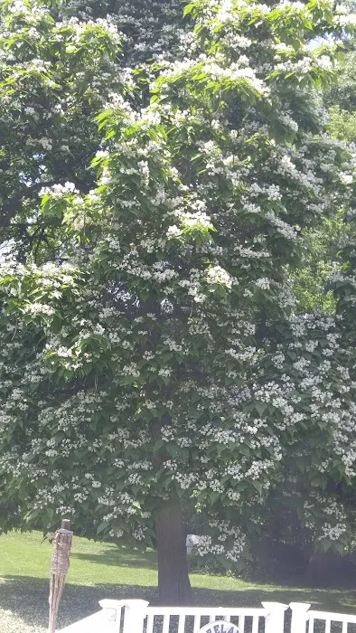 Acquackanonk Gardens Picture 7