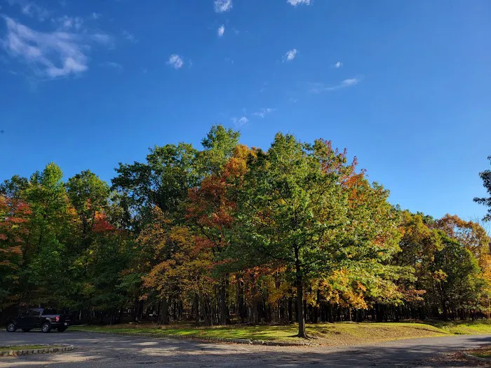 Carnie Bragg Picnic Area at Rifle Camp Park Picture 3
