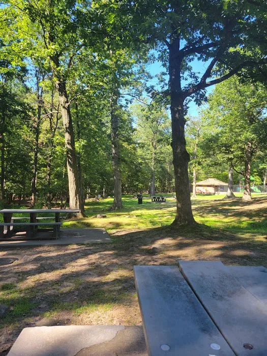 Carnie Bragg Picnic Area at Rifle Camp Park Picture 5