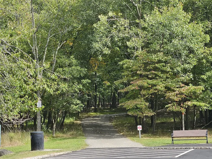 Carnie Bragg Picnic Area at Rifle Camp Park Picture 2