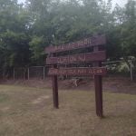 Urma Ave Park