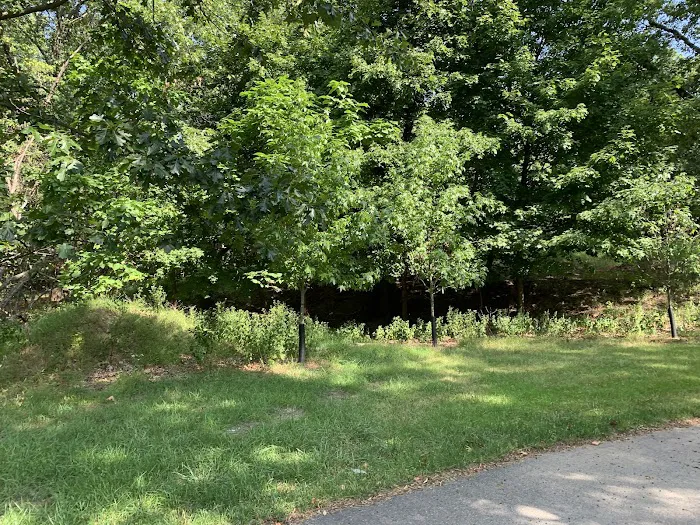 Frank D Zaccaria Memorial Park Picture 9