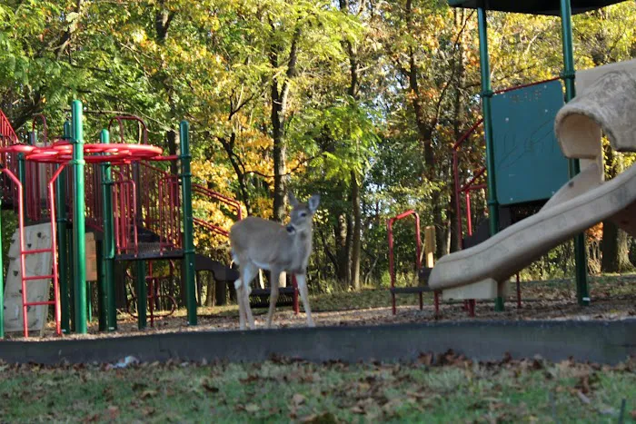 Rose Place Park Picture 6