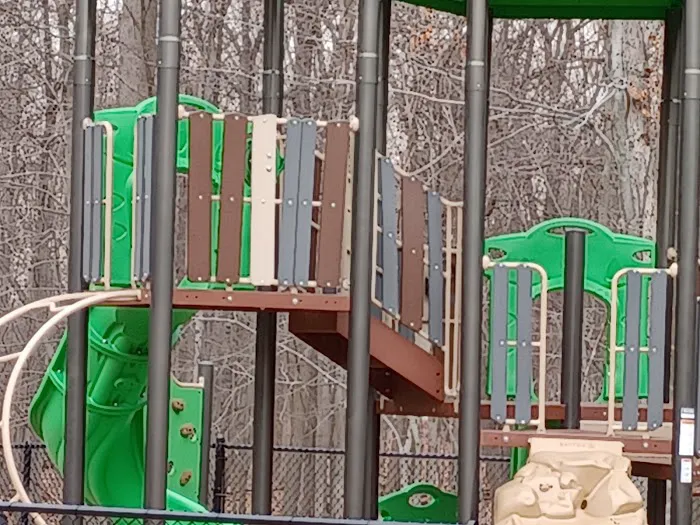 Dog Park at Rifle Camp Park Picture 9