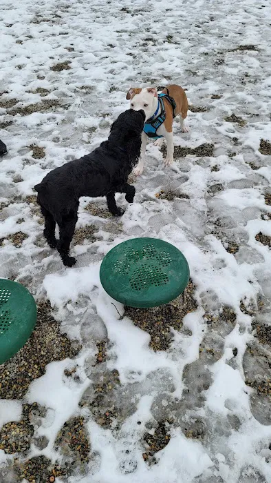 Dog Park at Rifle Camp Park Picture 6