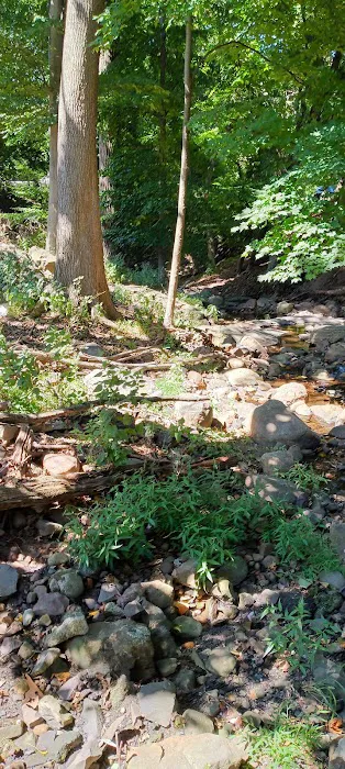 Diane Grimes Park Picture 8