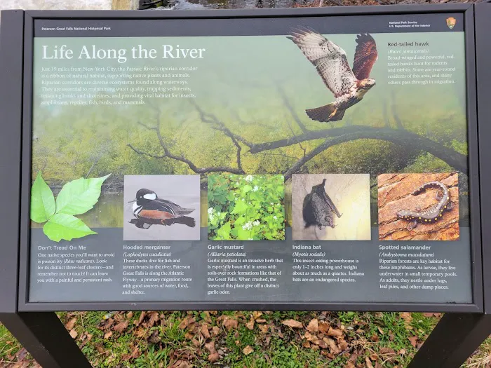 Mary Ellen Kramer Park Picture 10