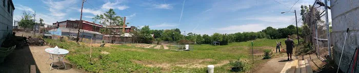 Elysian Fields Community Garden Picture 1