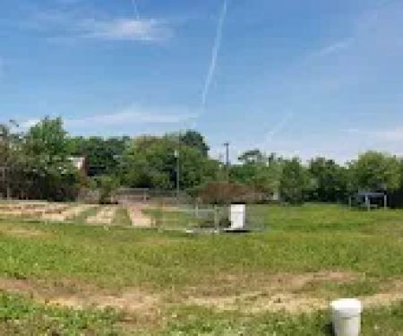 Elysian Fields Community Garden