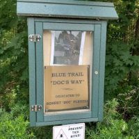 Blue Trail ico