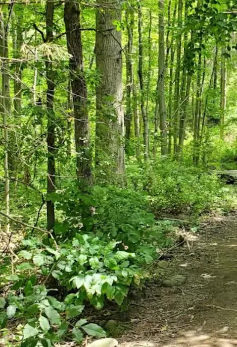 Blue Trail Picture 2