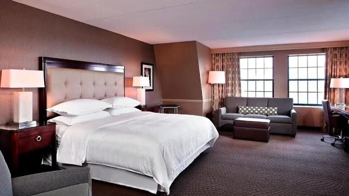 Sheraton Parsippany Hotel Picture 8