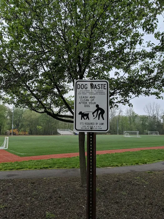 Veteran's Park Turf Field Picture 8