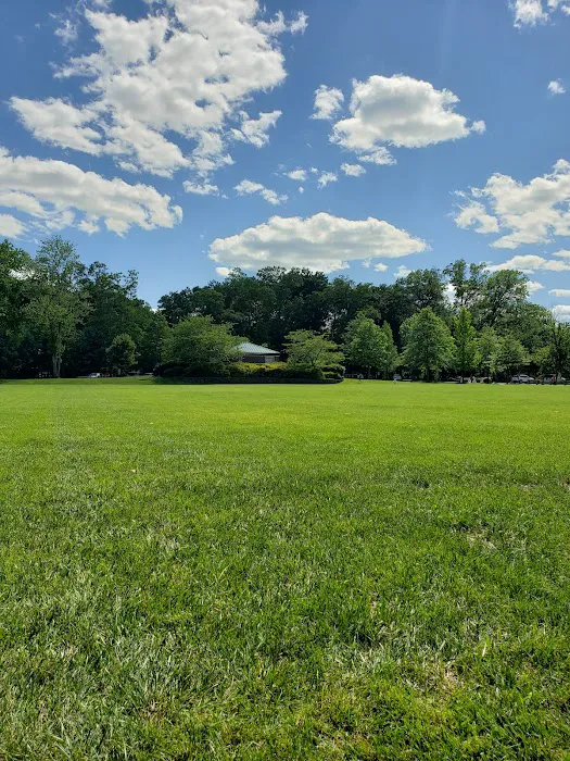 Veteran's Park Turf Field Picture 4