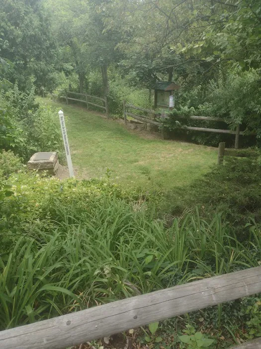 Morris Canal Park and Nature Reserve Picture 1