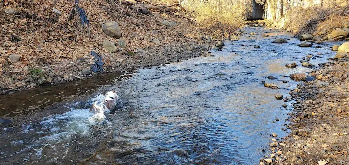 North Haledon Dog Park Picture 1