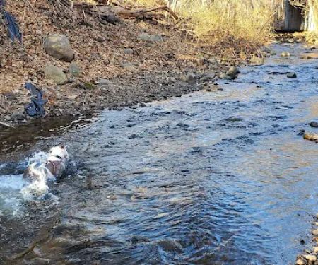North Haledon Dog Park